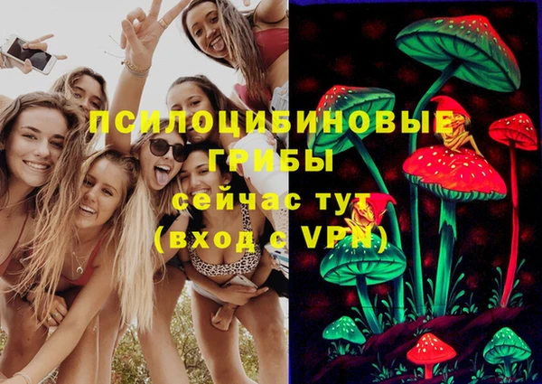 эйфоретик Нея