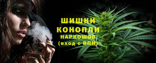твердый Новокубанск