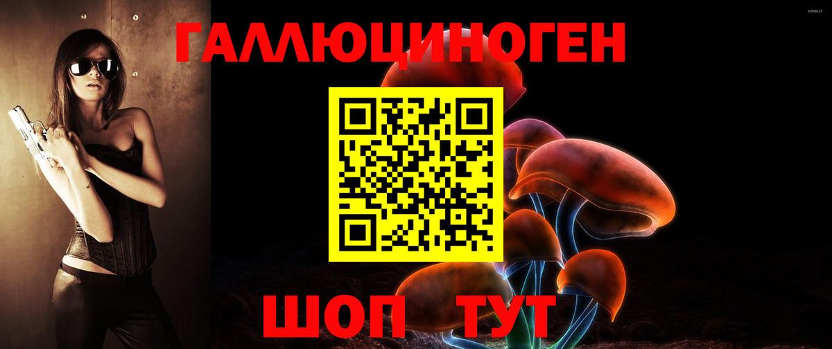 Галлюциногенные грибы Psilocybine cubensis Ставрополь