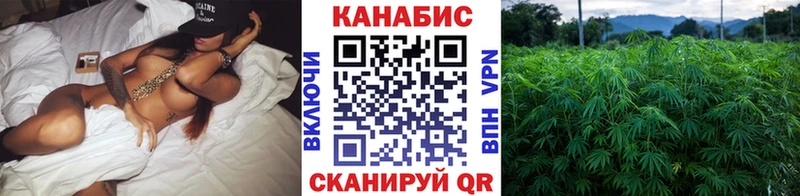Марихуана марихуана  Ставрополь 